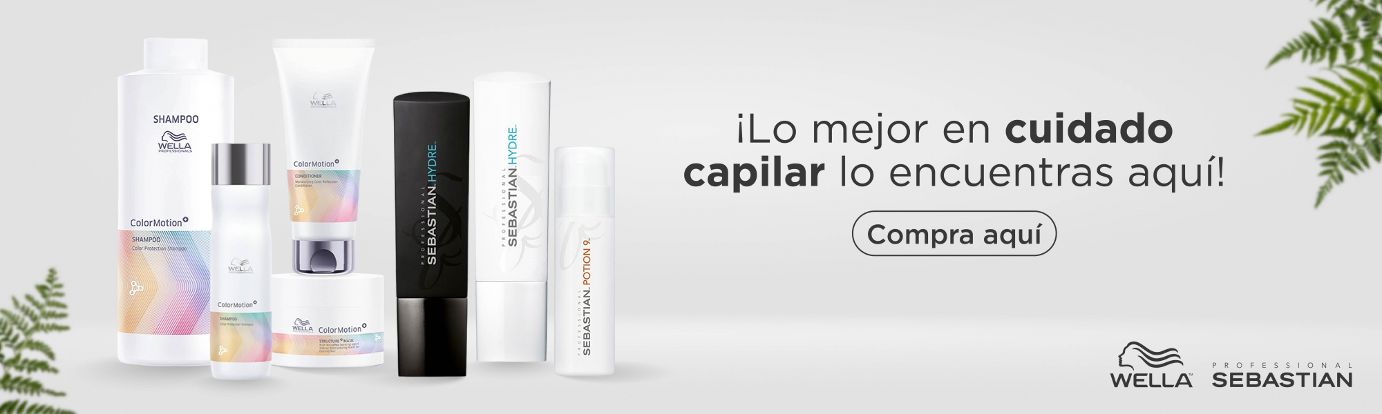 ¡NUEVOS INGRESOS! ¡NUEVOS INGRESOS!